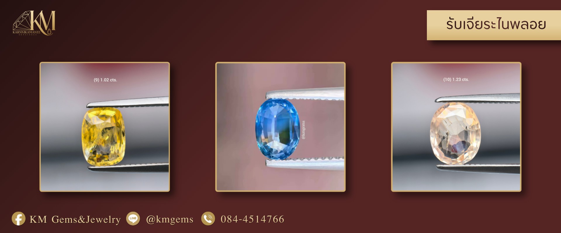 ปกเว็บ (14)